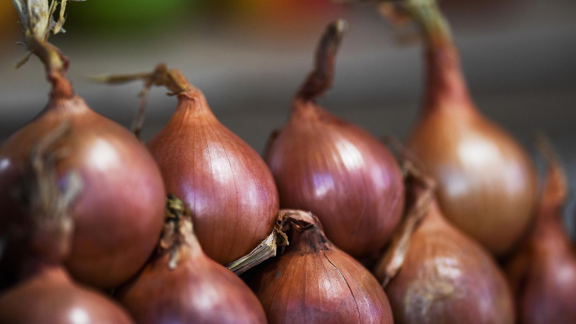 Как узнать ссылку крамп onion top